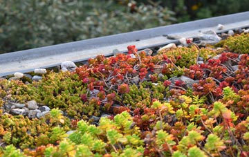 the cost of Manorbier Newton green roof installation