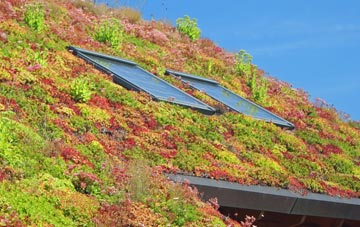 Manorbier Newton living roof systems