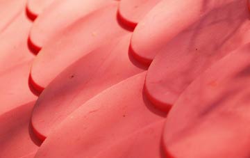 Manorbier Newton plastic roof costs