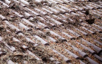 Manorbier Newton roof cleaning companies