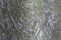 Manorbier Newton fibreglass roof work