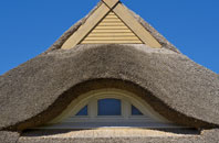 Manorbier Newton thatch roofing